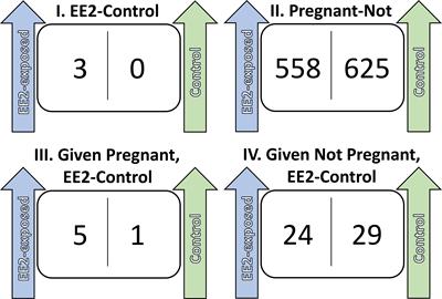 The response of the brood pouch transcriptome to synthetic estrogen exposure in the Gulf pipefish (Syngnathus scovelli)